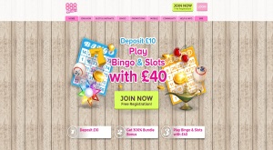 888ladies bingo homepage