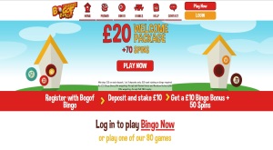 BOGOF Bingo is one of the best choices of a site to play online bingo
