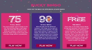 Bucky Bingo offer plenty of online bingo and slots game