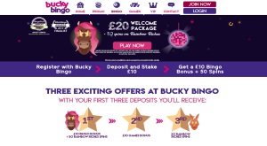 Play online bingo at Bucky Bingo