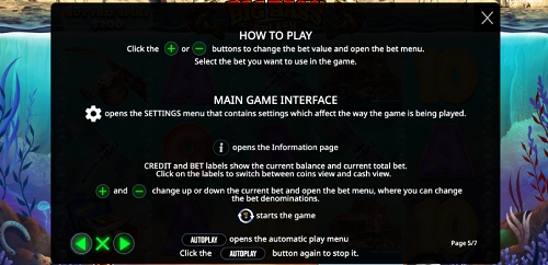 Big Bass Splash how to play