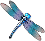 Dragonfly symbol