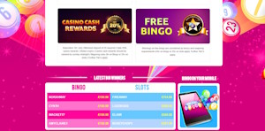 have a ball bingo promotions