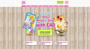 888ladies bingo homepage