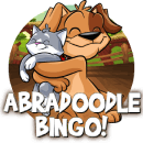 Bingo Abradoodle