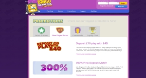 bingo on the box promotions