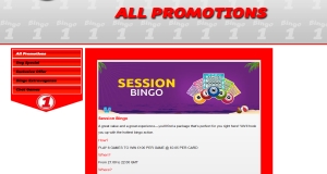 bingo1 promotions