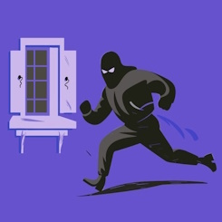 Domestic robber