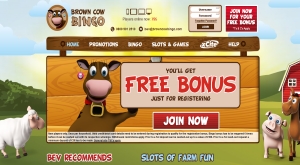 brown cow bingo