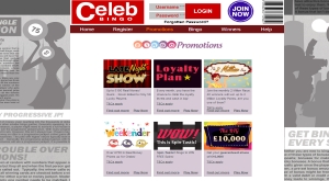 celeb bingo promotions