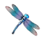 Dragonfly symbol