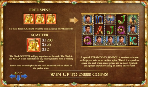 Book of Dead Slot Free Spins