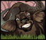 Buffalo symbol