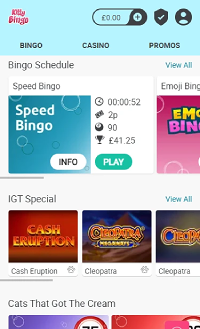 Kitty Bingo mobile experience