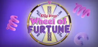 Spin the Wheel of Furtune Every Day at Kitty Bingo