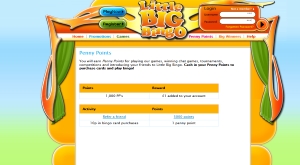 little big bingo promo