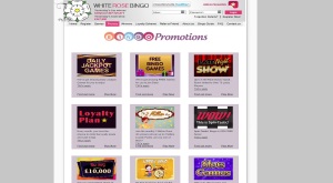 White Rose Bingo - promo page of the website