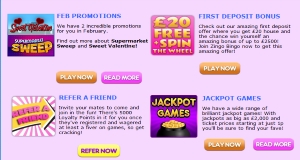 zingo bingo special promotions